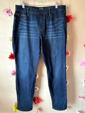 Judy Blue Pull-On Skinny Jeans | Dark Wash |